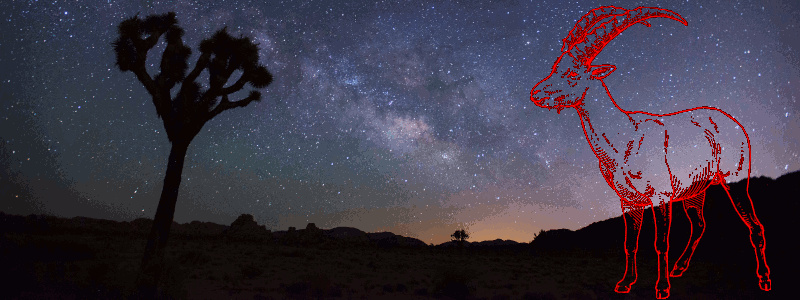 A red, pencil sketch like drawing of the outline of a concerned looking goat, stands juxtoposed over the background of a Sonoran Desert night sky photo of the Milky Way.